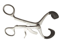 Molt Mouth Gag Large